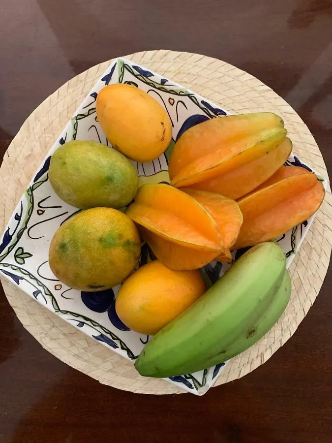 アパート Bienvenido A Tu Casa Ponce Prアパートメント